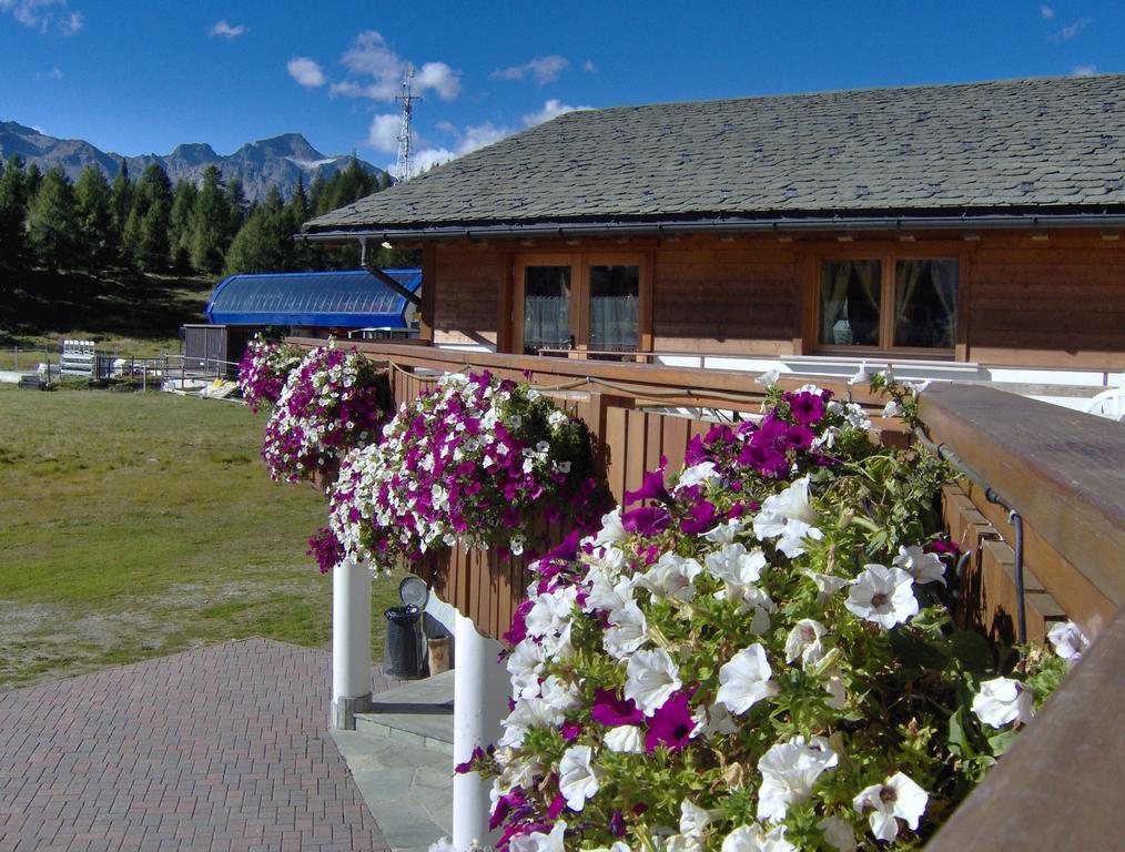Albergo Bucaneve Камподольчино Экстерьер фото